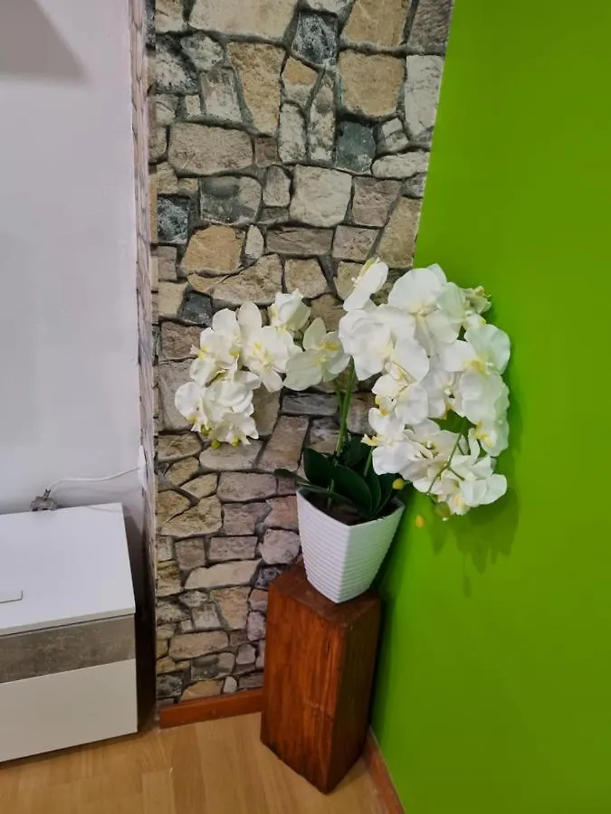 Center Perfect Spot Apartment Split
